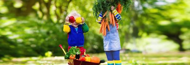 Ein kleiner Junge und ein kleines Mädchen halten Gemüsesorten wie Peperoni und Möhren vor ihren Gesichtern