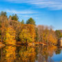 Ein schöner Herbstwald unter blauem Himmel